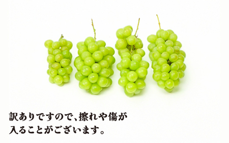 先行予約 訳あり シャインマスカット 約2kg (2~6房程度) 無印品  令和8年産 2026年産 sb-busmw2000-b