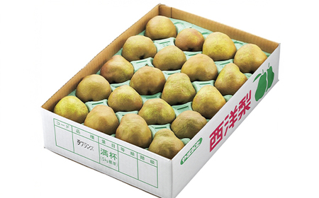 先行予約 ラ・フランス ◯秀品 約5kg 令和8年産 2026年産 佐竹物産 sb-lamsx5