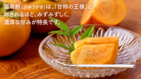 富有柿 2L以上 約10kg【2026年10月より発送開始】（茨城県共通返礼品 [柿]：大子町産）
