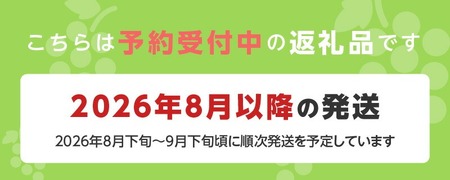 【2026年8月以降お届け】シャインマスカット（1房：約500～600g） _ 先行予約 シャインマスカット 1房 約 500g ～ 600g 2026年8月以降お届け 旬の味覚 酸味 甘み バランス 皮薄い 食べやすい マスカット ぶどう デザート 果物 倉重農園 お取り寄せ フルーツ 福岡県 久留米市 送料無料  〔Fg018〕