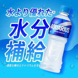【3ヶ月定期便】アクエリアス500mlPET×48本｜コカ・コーラ 飲料 ドリンク 飲み物 スポーツドリンク スポドリ 北海道 札幌市