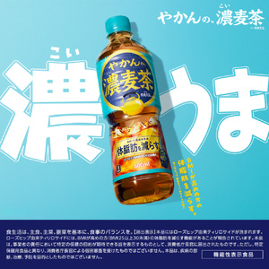【3ヶ月定期便】やかんの濃麦茶 from 爽健美茶 600mlPET×48本｜コカ・コーラ 麦茶 飲料 ドリンク 飲み物 お茶 北海道 札幌市