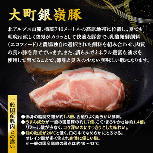 大町銀嶺豚ロース・バラセット(ロース約100ｇ×５枚＆バラスライス約500ｇ)｜ 豚肉 ぶた肉
