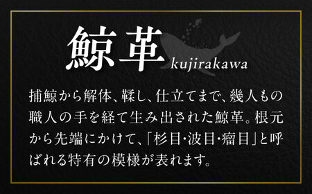 大村鯨革工芸 御財富 / 財布 長財布 革製品 / 大村市 銀職庵水主[ACZH006]