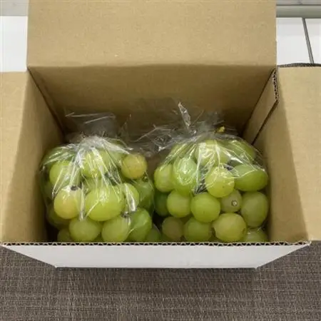 【2026年発送】【訳あり】山梨市産シャインマスカットつぶつぶ 1kg【配送不可地域：離島・沖縄県】【1697582】