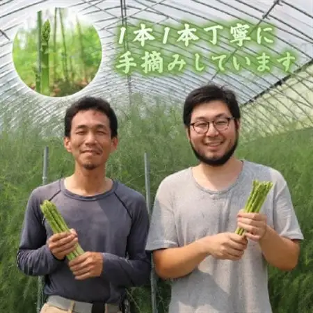 【先行受付】2026年産夏芽 数量限定 アスパラガス 1kg M～Lサイズ 京都府久御山町産 朝採り【配送不可地域：離島】【1701542】