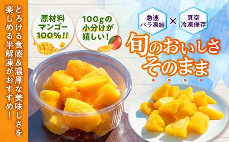 冷凍 カット マンゴー 計600g_CA94-25
