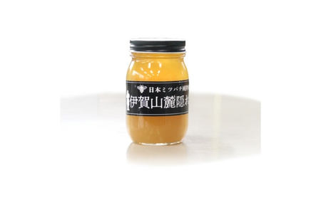 日本ミツバチ 純粋蜂蜜 百花蜜 「伊賀山麓蜂蜜隠れ蜂蜜」 600g【iclb0017】