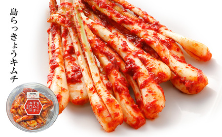 【久ー韓】韓国本場味「島野菜キムチ」食べ比べ3種セット 韓国料理