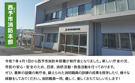 ＜消防見学＆体験ツアー Cコース 体力錬成体験＞ 消防署 消防体験 消防ツアー 消防団 消防士 消防車 見学 学び 学べる 訓練 トレーニング 記念撮影可能 西予市消防本部 愛媛県 西予市 USU0003