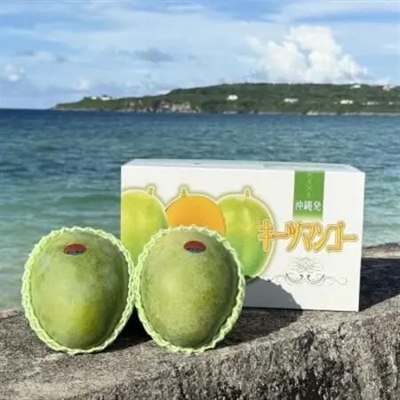 【2026年8月下旬から順次発送・家庭用】みなとばる農園の幻のキーツマンゴー1.5kg(2～3玉)【配送不可地域：離島】【1699832】