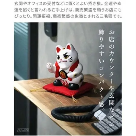 来いや猫【1702648】