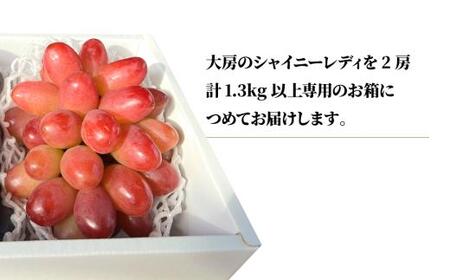 ぶどう 岡山県産 希少ぶどう特大大粒シャイニーレディ2房計1.3kg～ 【KF-B095-01】