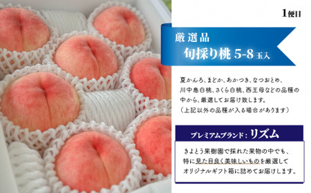 桃、ぶどう、梨の最上級品を旬にお届けする3回便！ (定期便)(岡山県産) 【KF-T033-01】