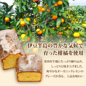 【季節の柑橘】 柑橘のパウンドケーキ アグリューム カット 5個 みかん スイーツ 菓子 お菓子 ケーキ 焼菓子 焼き菓子 洋菓子 オレンジ 柑橘 ミカン フルーツ くだもの 果物 デザート おやつ 自家製 お取り寄せ 贈答 ギフト Delicieux 伊豆 静岡県 三島市