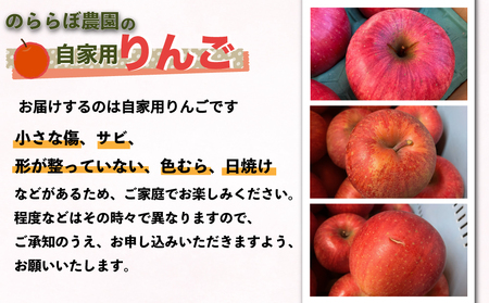 【先行受付2026年発送】農家直送！自家用りんご サンふじ　5kg （約12～18個）｜のららぼ農園 ※2026年11月上旬～11月下旬発送予定
