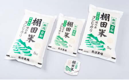 【定期便：4ヶ月連続でお届け】【令和7年産米】新潟県村上市岩船産 棚田米コシヒカリ 12kg+パックごはん(150g×1個)×4ヶ月 1067119