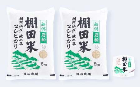 【定期便：2ヶ月連続でお届け】【令和7年産米】新潟県村上市岩船産 棚田米コシヒカリ 玄米10kg ＋ 棚田米コシヒカリのパックごはん(150g×1個)×2ヶ月 1067123
