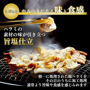 利久のやみつきホルモン 旨塩豚ハラミ 180g 90g×2Pハラミ 塩 豚 ごはんのお供 真空パック お土産 宮城 宮城県 岩沼市