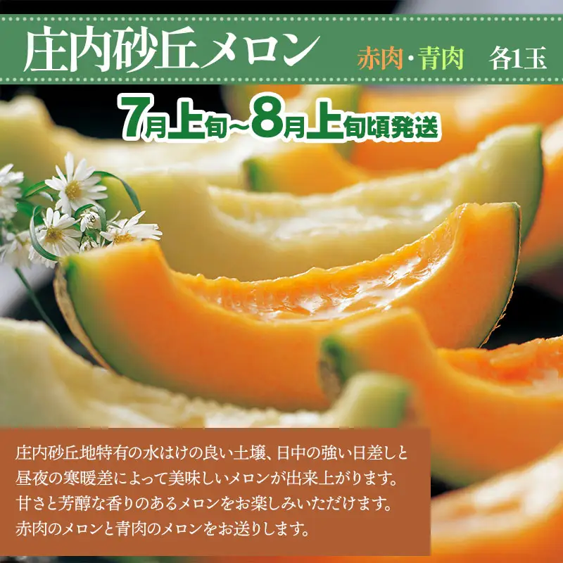 【令和8年産先行予約】【3回お届け】鶴岡産果物定期便　庄内砂丘メロン（赤肉・青肉各1玉）＆ 桃 約2kg ＆ ラ・フランス 約3kg　泉屋商店