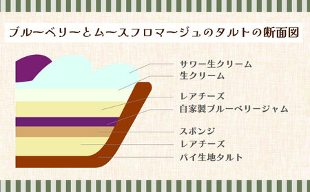 【舌にあふれる季節感♪こだわりのサクサクタルト】パティシエが厳選！こだわりタルト3種セット / タルト たると ケーキ タルトケーキ スイーツ デザート / 南島原市 / アトリエジジ [SAA011]