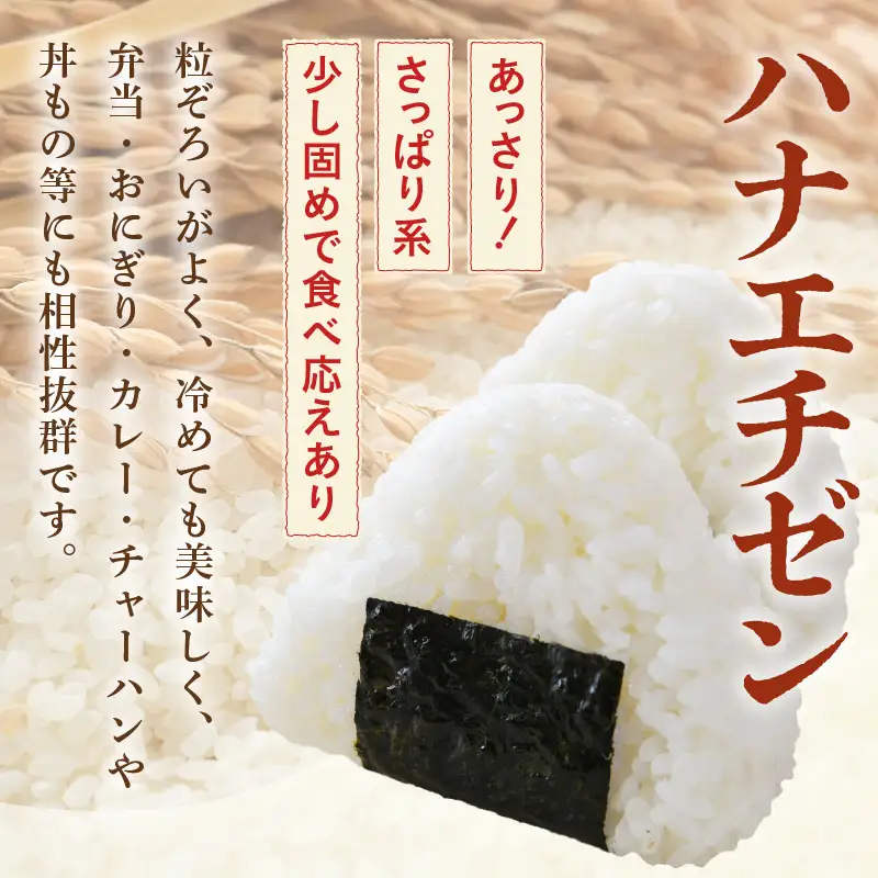 【先行予約】【令和8年産・新米】【一等米】 ＜定期便12回＞ ハナエチゼン 精米 5kg × 12回（60kg）《発送直前精米！》 ／ 福井県産 ブランド米 ご飯 白米 お米 コメ 新鮮 大賞 受賞 新米 ※2026年9月上旬以降順次発送予定 [aw012-k010]