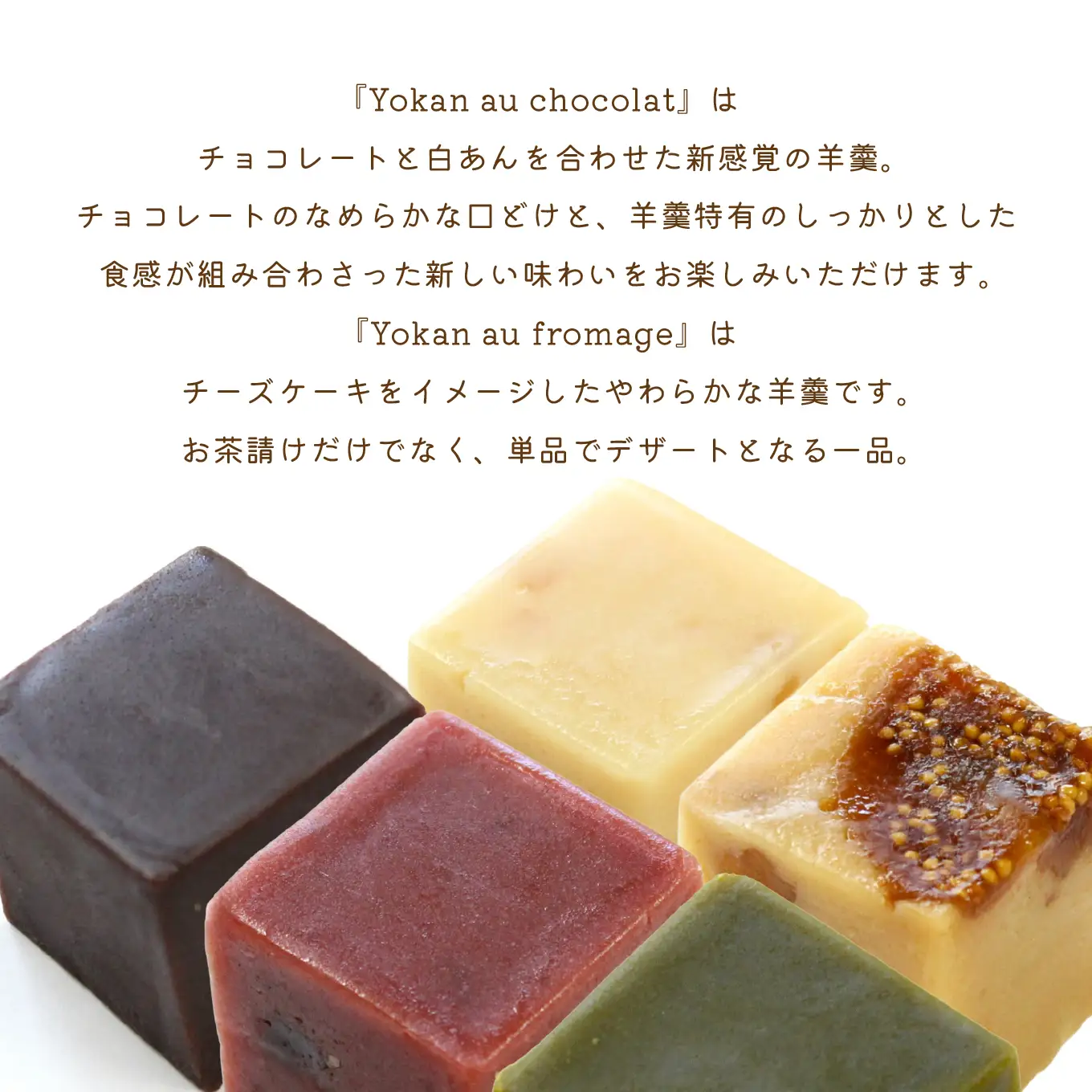 かねご製餡 匠あんこ堂 Yokan au chocolat & Yokan au fromage Iset 新感覚 羊羹 ショコラ ７種 フロマージュ ２種 合計９種 セット チョコレート 白あん 青森県 八戸市
