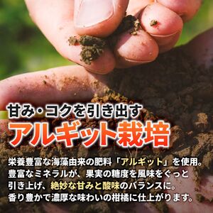 タカじいの 有田 みかん 5kg （良品 サイズおまかせ2S～2L） / 温州みかん 有田みかん 甘い 家庭用 和歌山 柑橘 ※1月順次発送【krs004-c-5-1B】