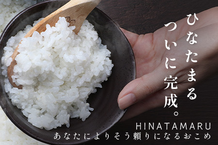ひなたまる10kg(5kg×2)白米｜特別栽培米【ひなたまる 令和7年誕生 新ブランド米】【生産者直送】幸せと笑顔を届ける元氣のお米｜佐賀県特別栽培農産物｜化学農薬・化学肥料不使用｜新米 精米 有機肥料 佐賀県 鹿島市 E-176