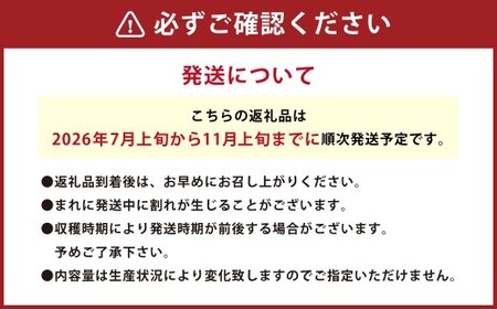 音楽を聴いて育ったプチぷよ🍅一粒万倍 黒／赤BOX【30粒or42粒】【2026年7月上旬-11月上旬発送予定】