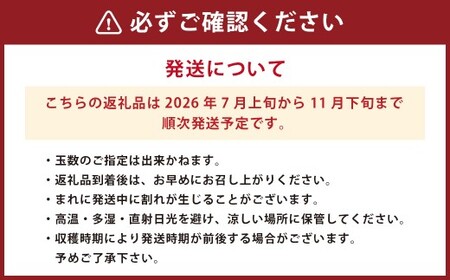 まごころ ミニトマト の 宝石箱 3.0kg (150玉前後) サンチェリーピュア【2026年7月上旬から11月下旬まで発送予定】