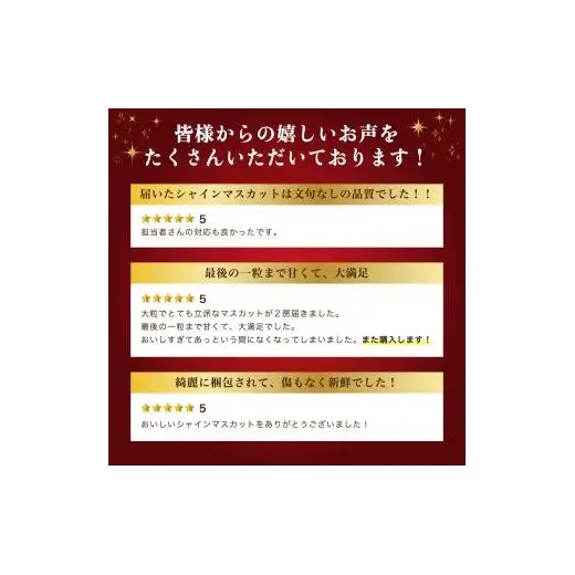 【2026年収穫分先行予約】【訳あり】 産地直送シャインマスカット(約1.5kg）
