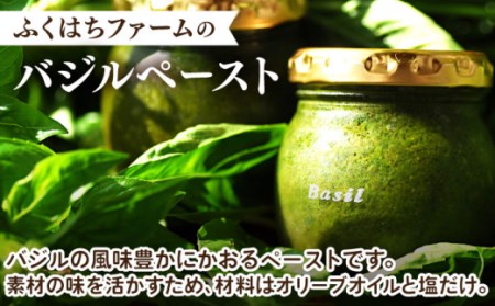 【2027年1月〜発送】【愛情たっぷり】バジルペースト×3本 / 南島原市 / ふくはちファーム/福島農園 [SBS026]