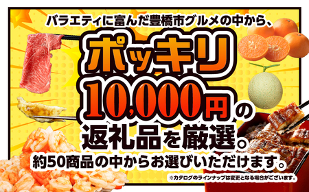 あとからゆっくり返礼品を選べる♪ 10000円 ポッキリふるさと納税 カタログ
