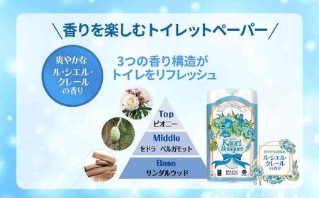 ダブル ブルー トイレットペーパー 96ロール / 日用品 香り 匂い スピード配送 まとめ買い トイレット / 佐賀県 [41AHAA004]
