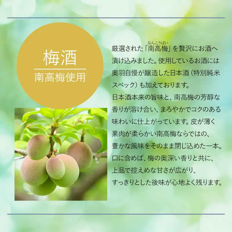 奥羽自慢　梅酒　720ml　奥羽自慢株式会社
