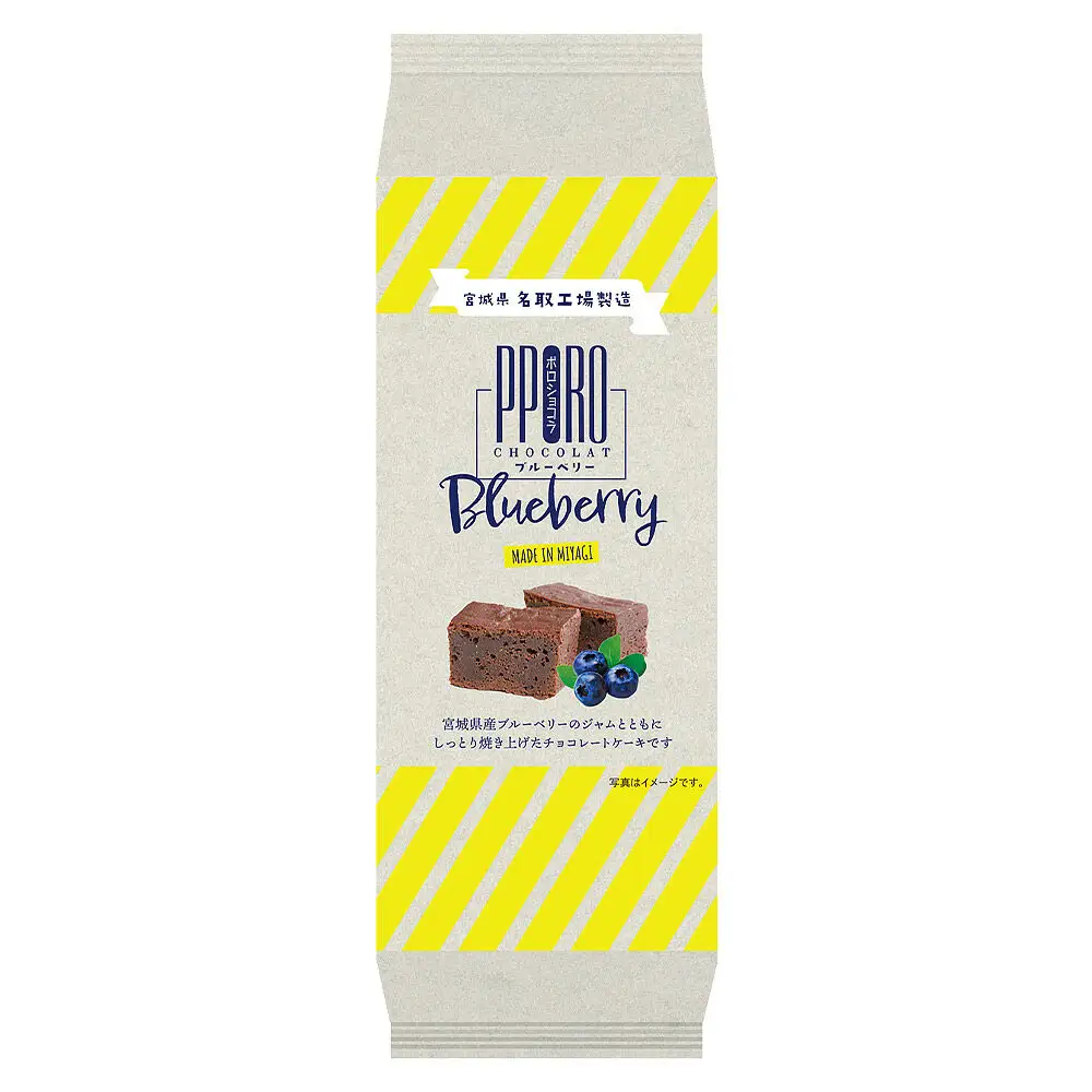 ポロショコラ ブルーベリー 160g×1本 ラグノオささき チョコレート お菓子