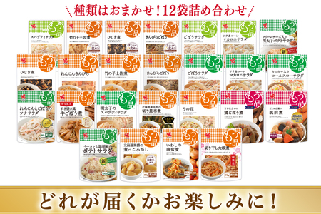 カネ吉の惣菜おまかせセット(12袋) 3回 定期便 詰合せ 総計36袋 訳あり おまかせ セット [株式会社ヤマザキ 静岡県 吉田町 22424676] 