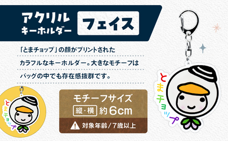 アクリルキーホルダー （ フェイス ） T042-018-02 雑貨