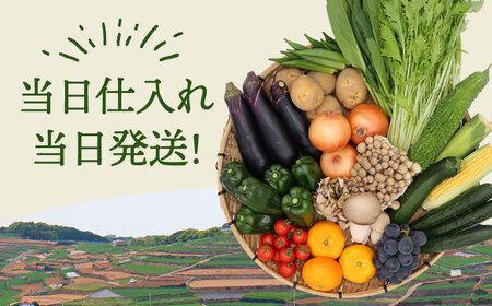 【6回定期便】【奇数月コース】野菜定期便 15品目以上 野菜 定期便[SCZ002]