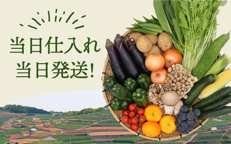 【12回定期便】野菜定期便15品目以上 [SCZ019] 