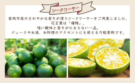 さわやかな香り漂うシークワーサー 2kg シークヮーサー yr-0107