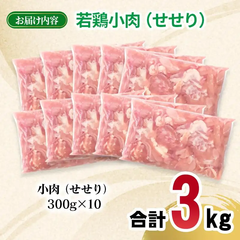 宮崎県産若鶏 小肉（せせり）3kg 小分け 300g ×10パック＜70-14a＞