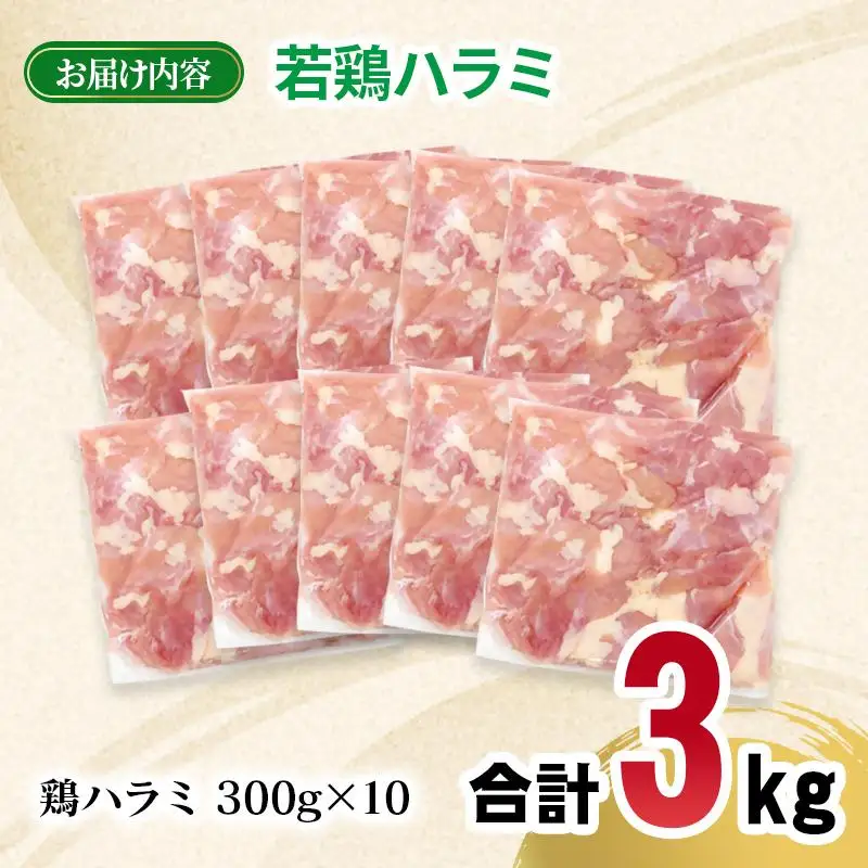宮崎県産若鶏 ハラミ 3kg 小分け 300ｇ×10パック＜70-10a＞