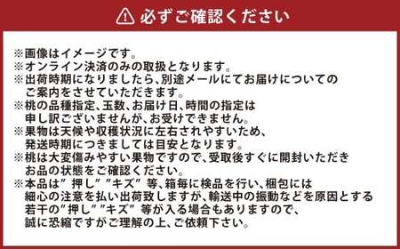 岡山 清水 白桃 5～7玉 （合計1.5kg以上） 【2026年7月上旬～7月下旬 発送予定】 白桃 桃 もも モモ 果物 くだもの フルーツ お取り寄せ 贈り物 ギフト 国産