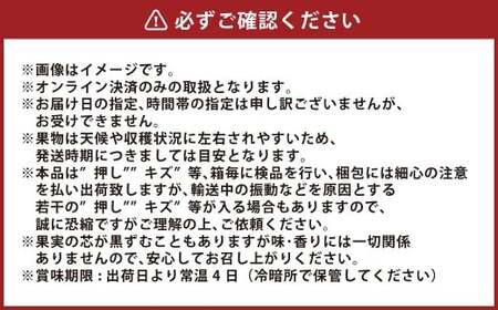 梨 2026年 先行予約 あたご梨 2玉 合計1.8kg以上 環山堂 岡山県産 なし 果物 フルーツ 【2026年11月下旬～12月下旬 発送予定】 ナシ くだもの ギフト お取り寄せ 国産