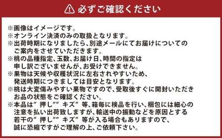 桃 2026年 先行予約 岡山 白桃 （品種：おかやま夢白桃／白麗） 5～7玉 合計1.5kg以上 【2026年7月下旬～8月上旬 発送予定】 もも モモ 岡山県産 国産 フルーツ 果物 環山堂 くだもの お取り寄せ 贈り物 ギフト 国産