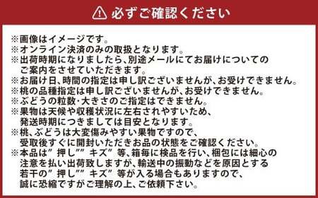 桃 ぶどう 2026年 先行予約 岡山 白桃 5玉と シャイン マスカット 2房 詰合せ 合計2.7kg以上  【2026年7月上旬～8月上旬 発送予定】 もも 葡萄 岡山県産 国産 フルーツ 果物 環山堂 くだもの お取り寄せ 贈り物 ギフト 国産