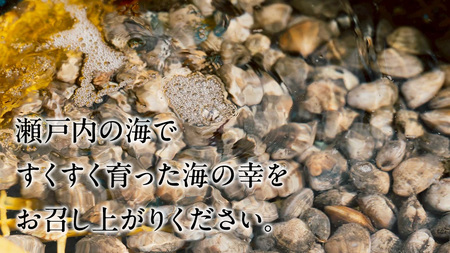 【4月末まで】 アサリ 1kg あさり 500g×2袋 砂出し済み