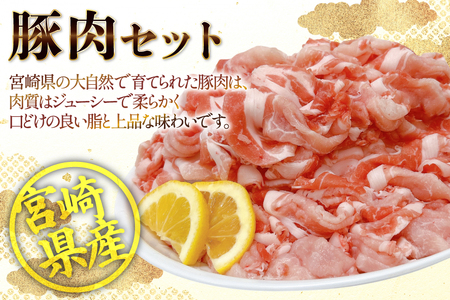 豚肉 宮崎県産豚肉 3kg 詰め合わせ セット [TRINITY 宮崎県 日向市 452061329]